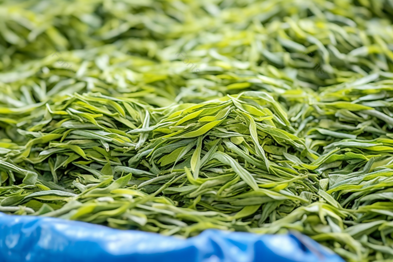 刚采摘的新鲜茶叶芽头特写实拍图,高清,摄影图,摄影图片,图片大全,摄影图免费下载
